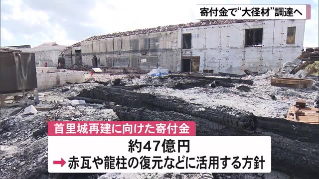 首里城再建 「大径材」調達に寄付金活用 国と沖縄県が覚書締結