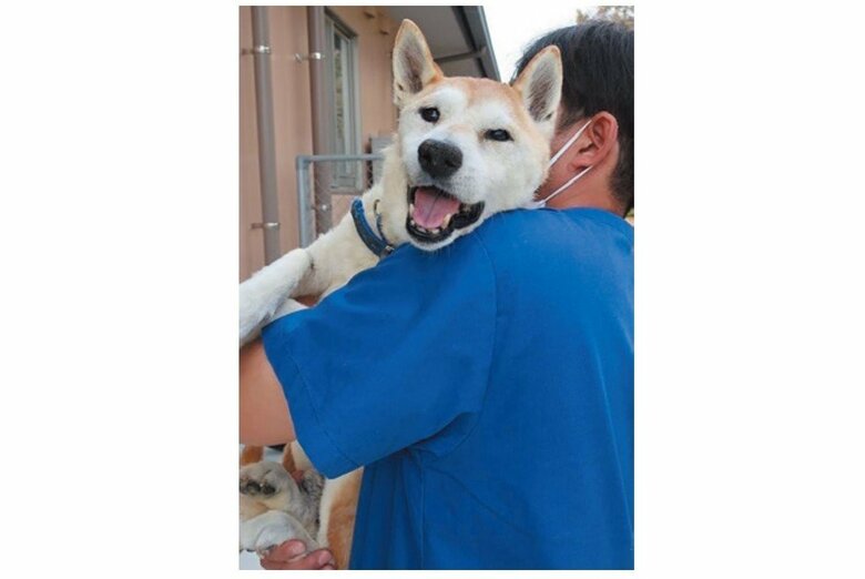 抱きかかえられる福くん（『たまさんちのホゴイヌ2』（世界文化社）より）