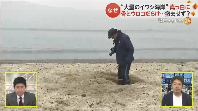 すねあたりまでイワシの骨とウロコに埋もれる人