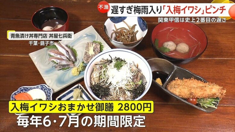 入梅イワシの水揚げ激減でフルコースの予約を停止しているという