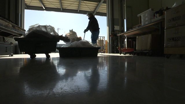 駆除された野生動物は焼却される