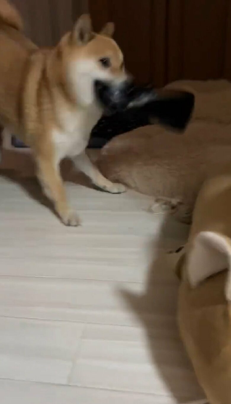 バックステップで一旦、距離を取る