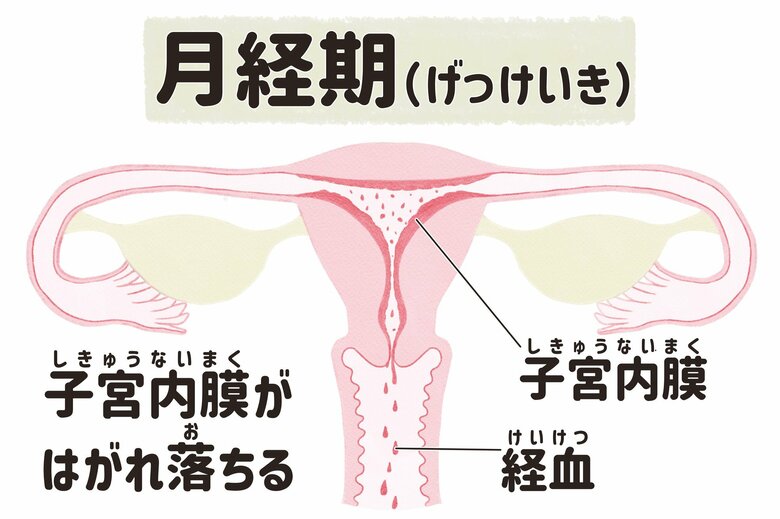 （画像はイメージ）