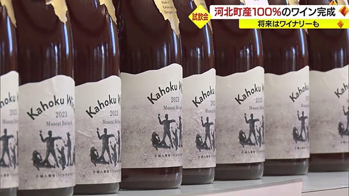 すべて手作業の“河北町産ブドウ100％”ワイン完成！ 将来は生産量を拡大