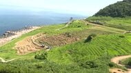「地域の宝」白米千枚田を守る人が足りない　輪島市で担い手募集の説明会