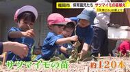都心のビル屋上で「ダンゴムシいた！」　保育園児30人がサツマイモの苗植えに挑戦　手は泥だらけ　11月ごろの収穫を心待ちに　福岡