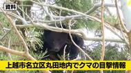 【クマ目撃情報】新潟・上越市でクマ1頭を目撃　民家近くで警戒活動を実施