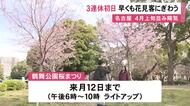 4月上旬並みの陽気の見込み…3連休初日 名古屋・鶴舞公園は早くも花見客で賑わう 午後6時からライトアップも予定