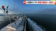“日本一うまかイサキ“を全国へ 漁師になるため小値賀島に帰郷した男たちの伝統のイサキ一本釣り漁に密着