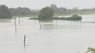 岩手県南部襲った大雨の農業被害、2億2500万円に　知事「通常以上の支援必要か調査」　