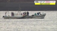 「季節ハタハタ」初漁はいつ? 秋田・男鹿市