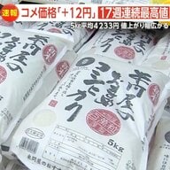 【解説】“17週連続”最高値更新で米価格5キロ4233円に…出回らない備蓄米は一体どこに？値下がりしない理由とは