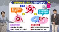 「温帯低気圧に変わるから安心」ではない！「熱帯低気圧」とは違う注意すべき点とは？気象予報士が解説　天気ことわざ「月夜の大霜」も紹介