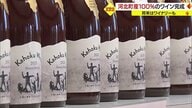 すべて手作業の“河北町産ブドウ100％”ワイン完成！　将来は生産量を拡大&ワイナリーも…【山形発】
