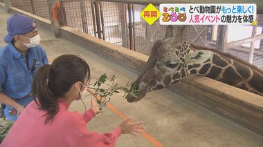 キリンやカバと同じ目線でエサやり 飼育員が教える“歯の秘密”…動物園の人気イベントを体験【愛媛発】