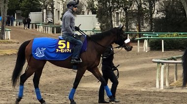 最強女王・アーモンドアイ 芝G1・9勝目で有終の美を飾る 実況アナが見たジャパンカップ