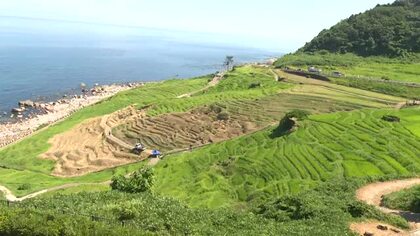 「地域の宝」白米千枚田を守る人が足りない　輪島市で担い手募集の説明会