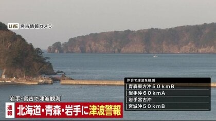 【速報】宮古で40センチの津波観測　午後5時21分