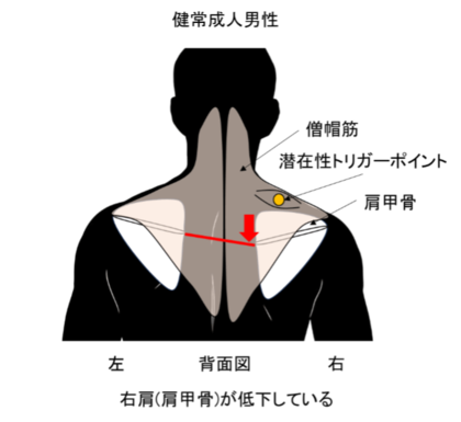 国際学術誌『PLOS One』に東亜大学との共同研究成果が掲載されました
