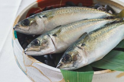 アニサキスの心配なし 安心して生で食べられる サバの問い合わせが増加中 陸上養殖 するjr西日本に聞いた Fnnプライムオンライン