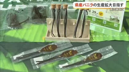 沖縄バニラ産業推進協会が設立　生産拡大やブランド化を目指す