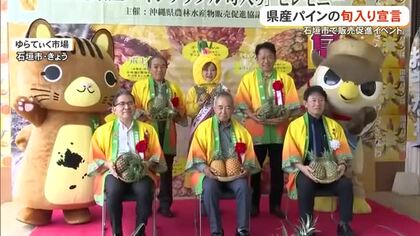 甘くてジューシーな沖縄県産パインはいかが？　石垣で旬入り宣言
