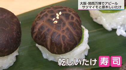 「乾しいたけ寿司」を万博で提供 ヴィ―ガンの人も食べられる、アワビのような食感と原木栽培のうまみ 万博を乾しいたけを守るきっかけに