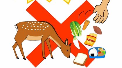 「奈良のシカは観光客減でも飢えていません」誤解による“えさやり”禁止を県が呼びかけ