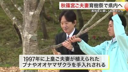 秋篠宮ご夫妻が地元の学生たちと 上皇ご夫妻が植えられた木の手入れ　全国育樹祭がはじまる〈宮城〉
