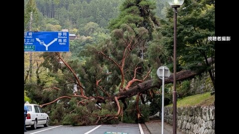 千葉で再び大雨　住宅街で冠水、排水口から水があふれる場所も　都内の公園では倒木被害