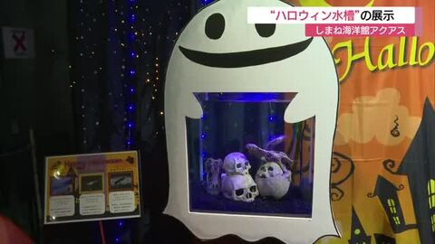 かわいくて…ちょっと不気味！？しまね海洋館アクアスで「ハロウィン水槽」17日夜にはイベント開催　島根
