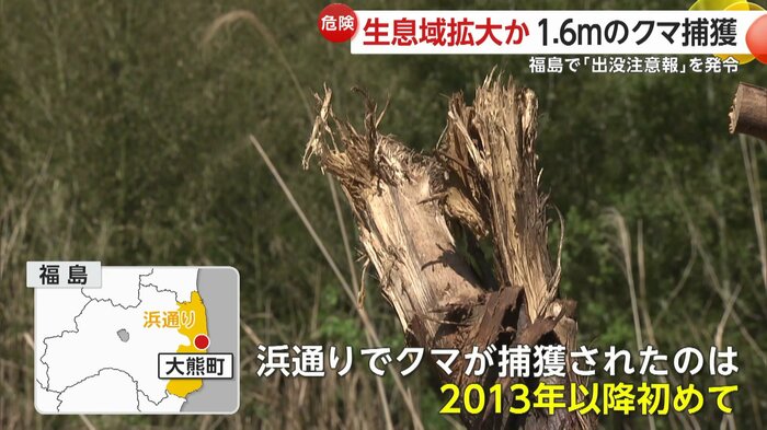 福島県の「浜通り」で熊が捕獲されたのは2013年以降で初めて