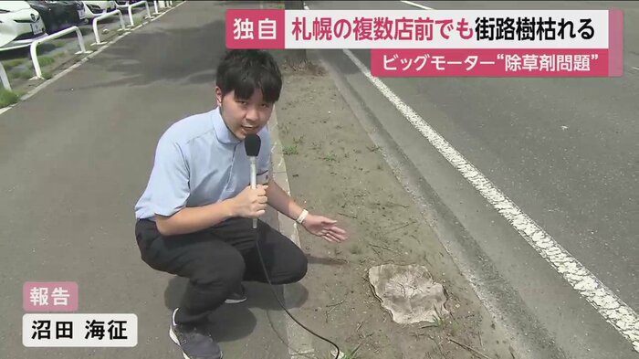 店舗前の植え込みにはほとんど草はない。枯れたため、伐採された木の切り株も…
