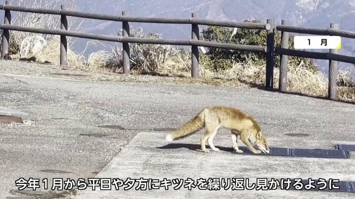 支配人は住みついたのではと推測