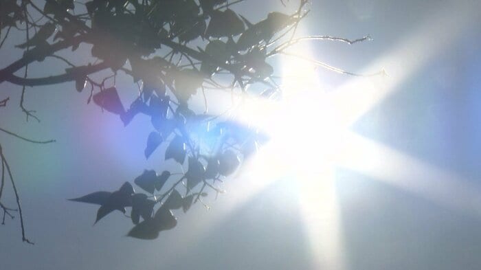 天候や体調など複数の要因が重なって熱中症になる