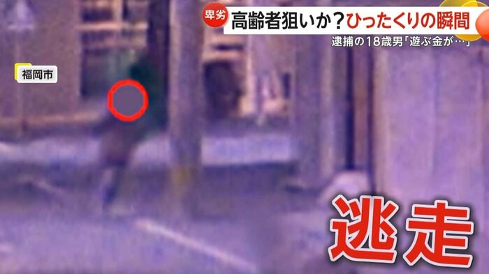 逃走するひったくり犯