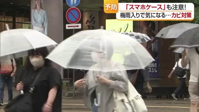 愛媛県内も梅雨入り