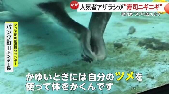 ツメで体をかいていたのではと専門家(視聴者撮影)