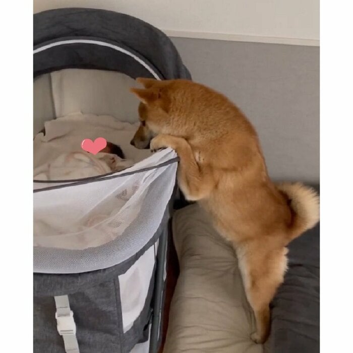ベッド内にいる娘さんを見つめている
