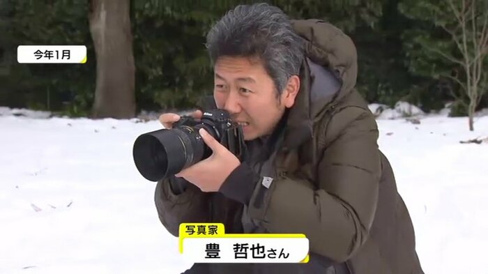 自身で飼育し、写真を撮る