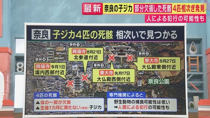 発見された場所と日付(関西テレビ「旬感LIVEとれたてっ!」より)