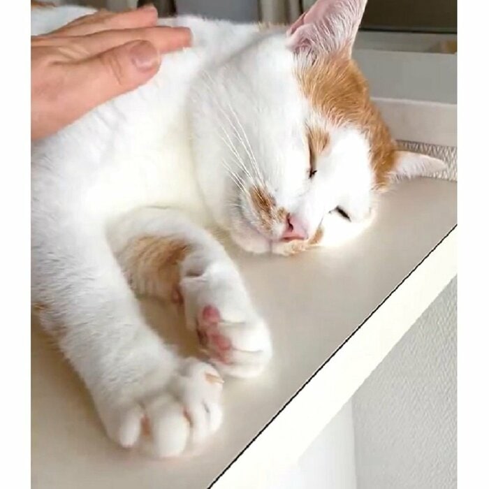 体をなでると…