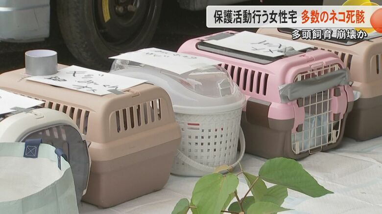 死んだネコは100匹以上か　熊本市北区の保護ネコ活動の女性宅で多頭飼育崩壊「荷物やごみにネコが埋もれて分からない」｜FNNプライムオンライン