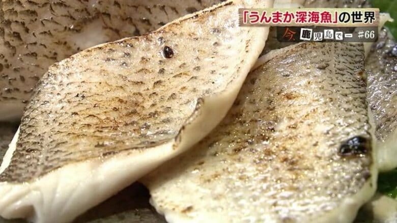 実は鹿児島は深海魚の宝庫！「うんまか深海魚」のディープな世界を探る｜FNNプライムオンライン