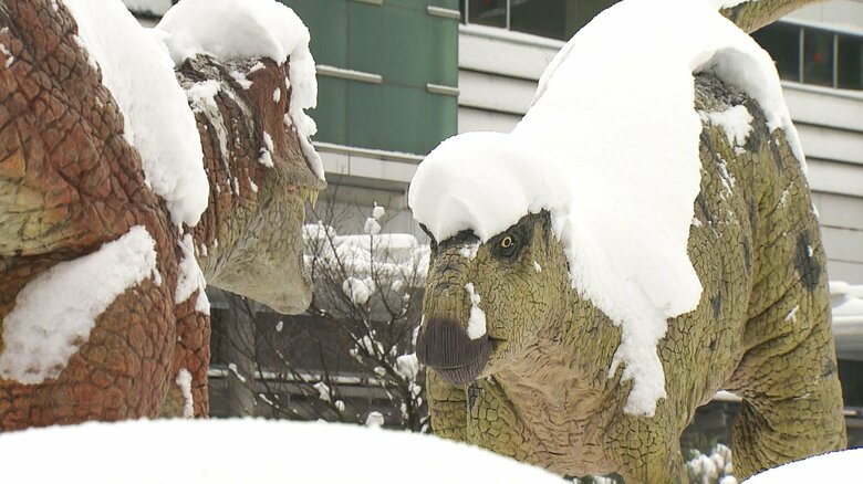 22日夕方にかけて引き続き大雪に警戒　嶺南と嶺北南部に警報　舞若道の小浜IC－福知山ICは通行止めが継続中（午前11時半現在）｜FNNプライムオンライン