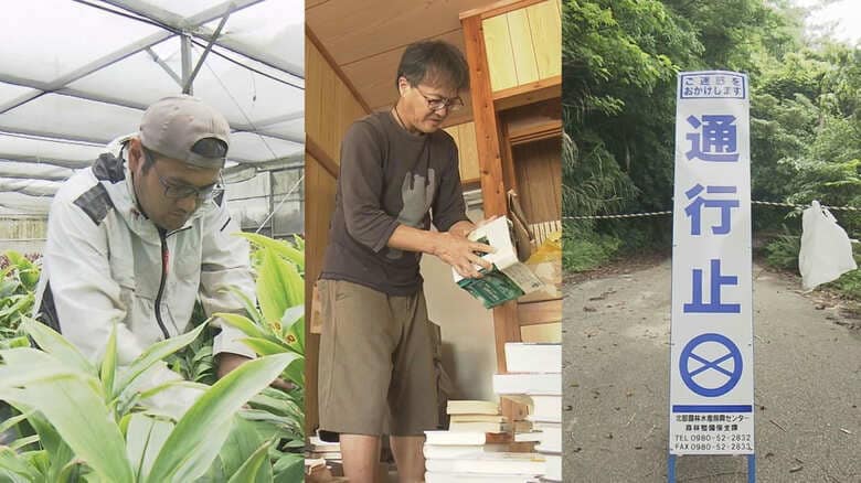 豪雨災害から半年　沖縄本島北部の復興と課題｜FNNプライムオンライン