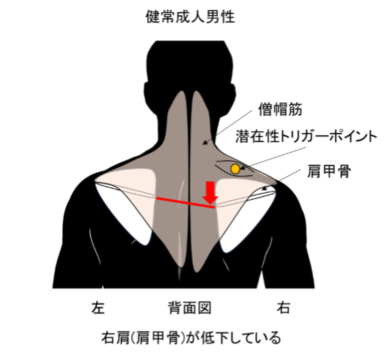 国際学術誌『PLOS One』に東亜大学との共同研究成果が掲載されました