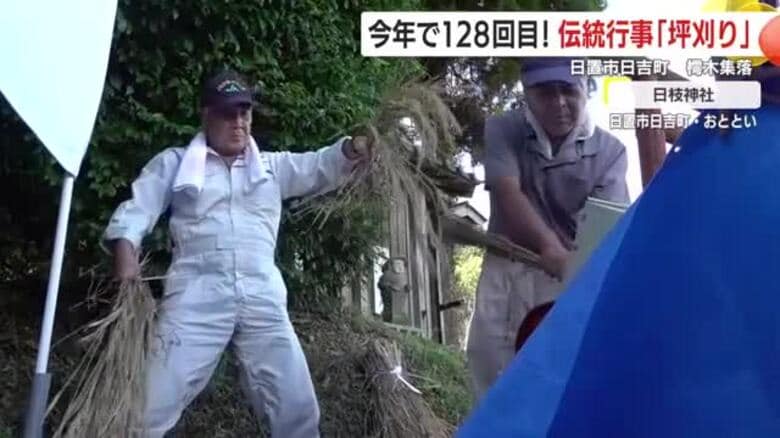 稲の収穫量を和やかに競う地区の伝統行事は128回目！　「坪刈り」開催　鹿児島・日置市日吉町｜FNNプライムオンライン