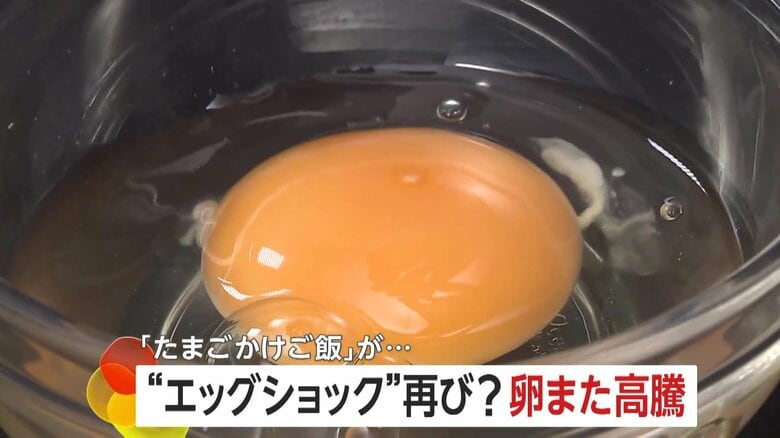 「エッグショック」再来？卵また高騰でマヨネーズも値上げ…苦悩するTKG専門店の起死回生の秘策は「わんこTKG」!？｜FNNプライムオンライン