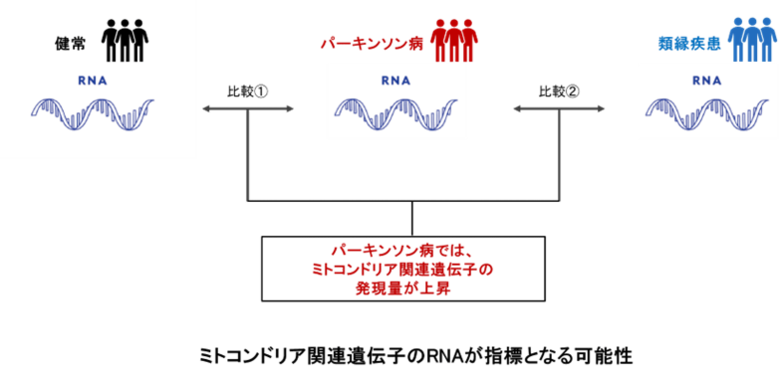 パーキンソン病患者に特異的な皮脂RNA情報の同定に成功
